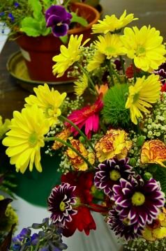 pic_0054.jpg