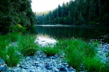 pic_0096.jpg