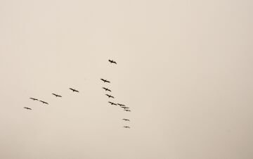 pic_0142.jpg