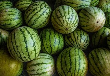 Melons.jpg