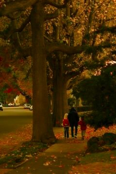 pic_0048.jpg