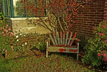 pic_0124.jpg