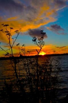 pic_1524.jpg