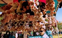 Teddybears.jpg