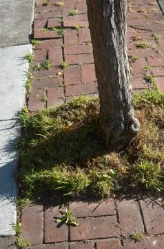 pic_0016.jpg