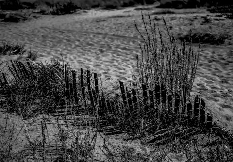 L1000127.jpg