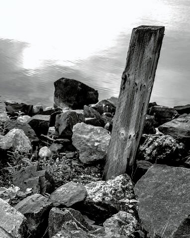 L1001607.jpg