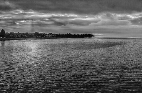 L1003781.jpg