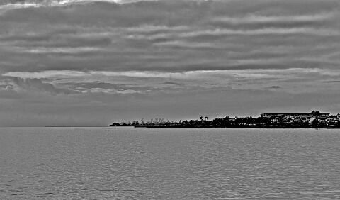 L1003793.jpg