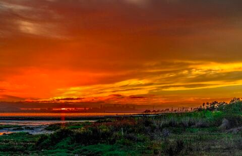 _ALM8242_DxO.jpg