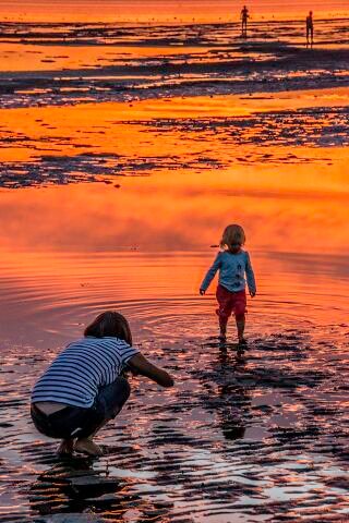 _HDS0895.jpg
