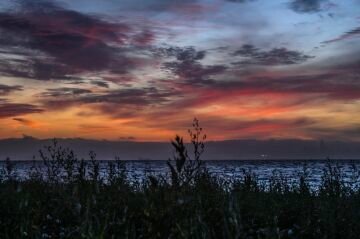 _DSC9502.jpg