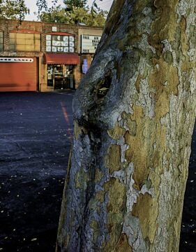 L1000320.jpg