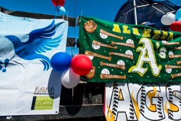 _ALM0049.jpg