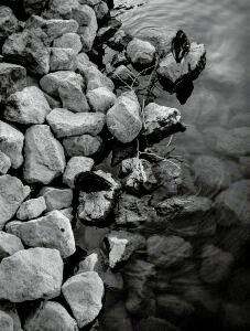 L1070117.jpg