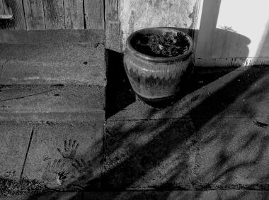 L1018336.jpg