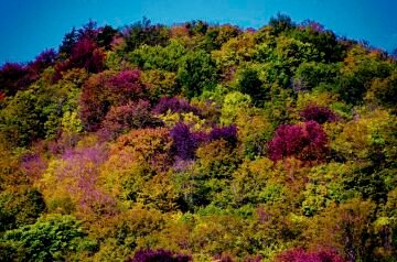 DSC_2065.jpg