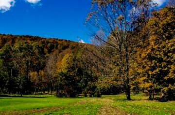 DSC_2105.jpg