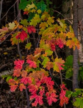 DSC_2149.jpg