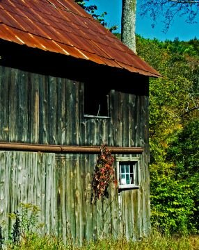 DSC_2240-Edit.jpg