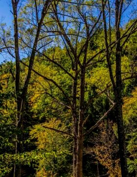 DSC_2263.jpg