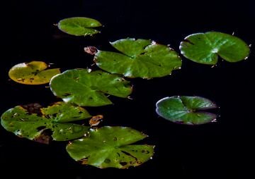 DSC_2280-Edit.jpg