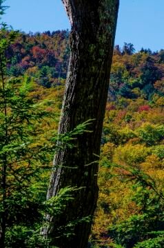 DSC_2299.jpg