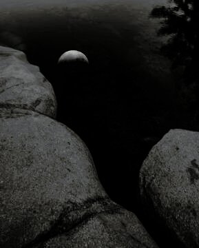 L1005144.jpg