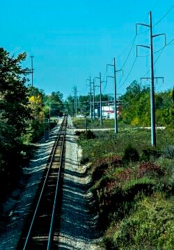 L1013043.jpg