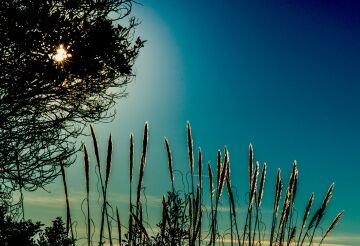 L1015959-Edit.jpg