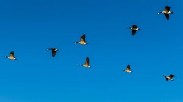 L1015985-Edit.jpg