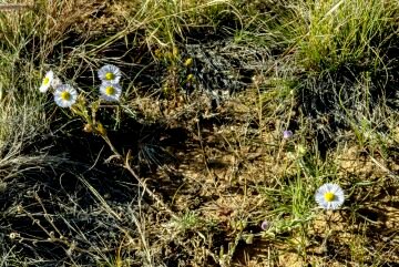 DSC_2696.jpg