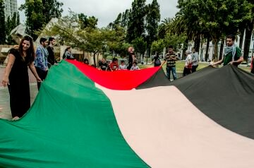 _ALM6727.jpg
