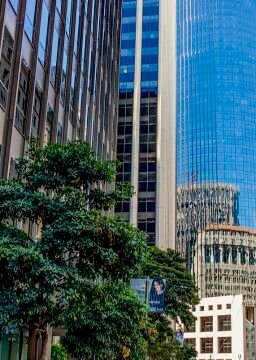 L1006431.jpg