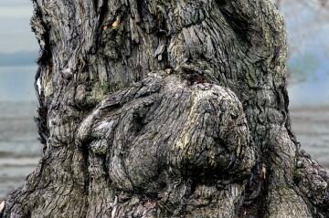 DSC_1691.jpg