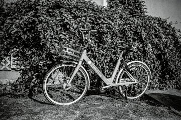 H1030384mono.jpg