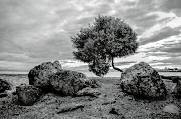 HDS18708mono.jpg