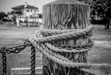 L1003635.jpg