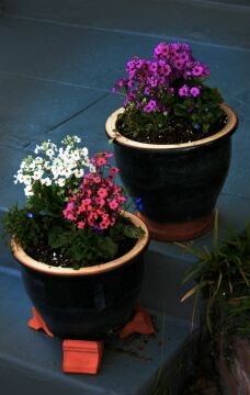 2flowerpots.jpg