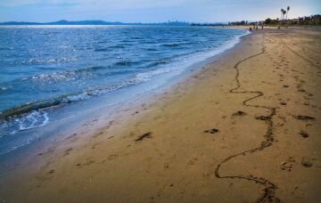 AlamedaBeach.jpg