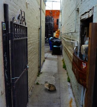 Backalley.jpg