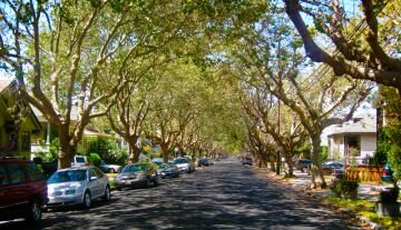 CentralAvenue.jpg