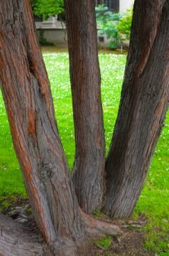 DSC_0968.jpg