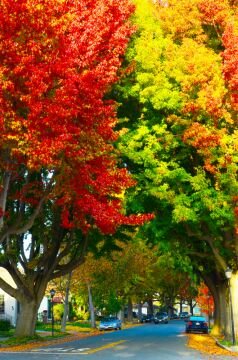 DSC_1277.jpg
