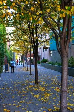 DSC_1298-Edit.jpg