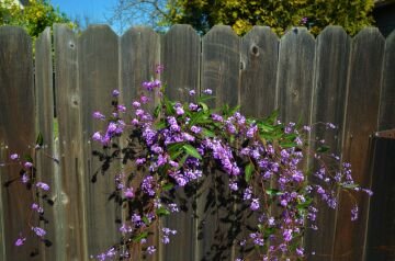 DSC_3114.jpg