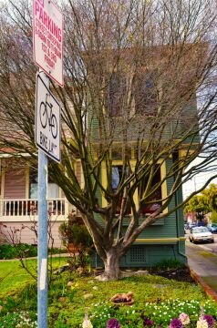 DSC_328n5.jpg