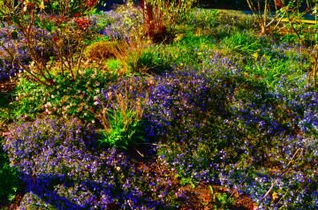 DSC_32n21.jpg