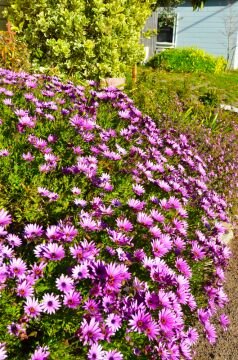 DSC_3549.jpg