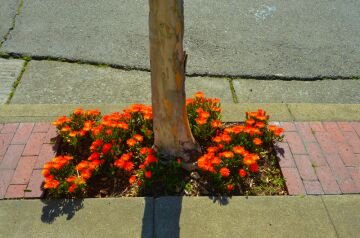 DSC_3555.jpg